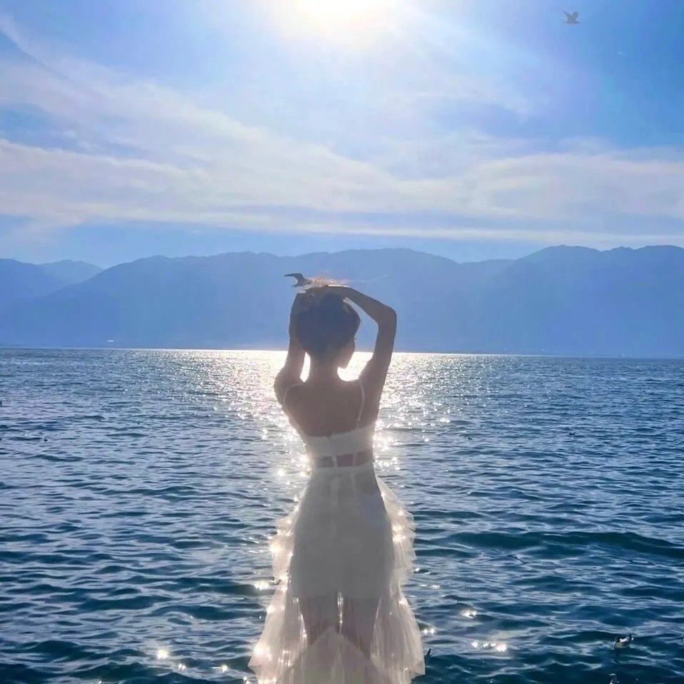 海龟们